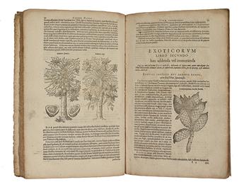 (BOTANICAL.) Clusius, Carolis. Curae posteriores, seu plurimarum non ante cognitarum. * Everardi Vorstii Medicinae Porfessoris. . .